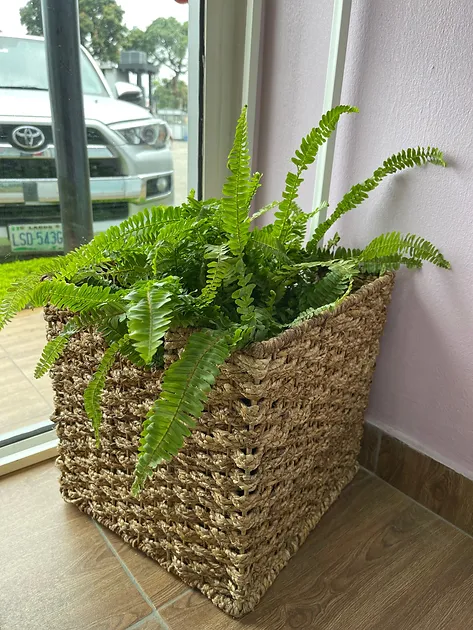 Multipurpose Banana Fiber Basket